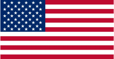United States Flag Icon