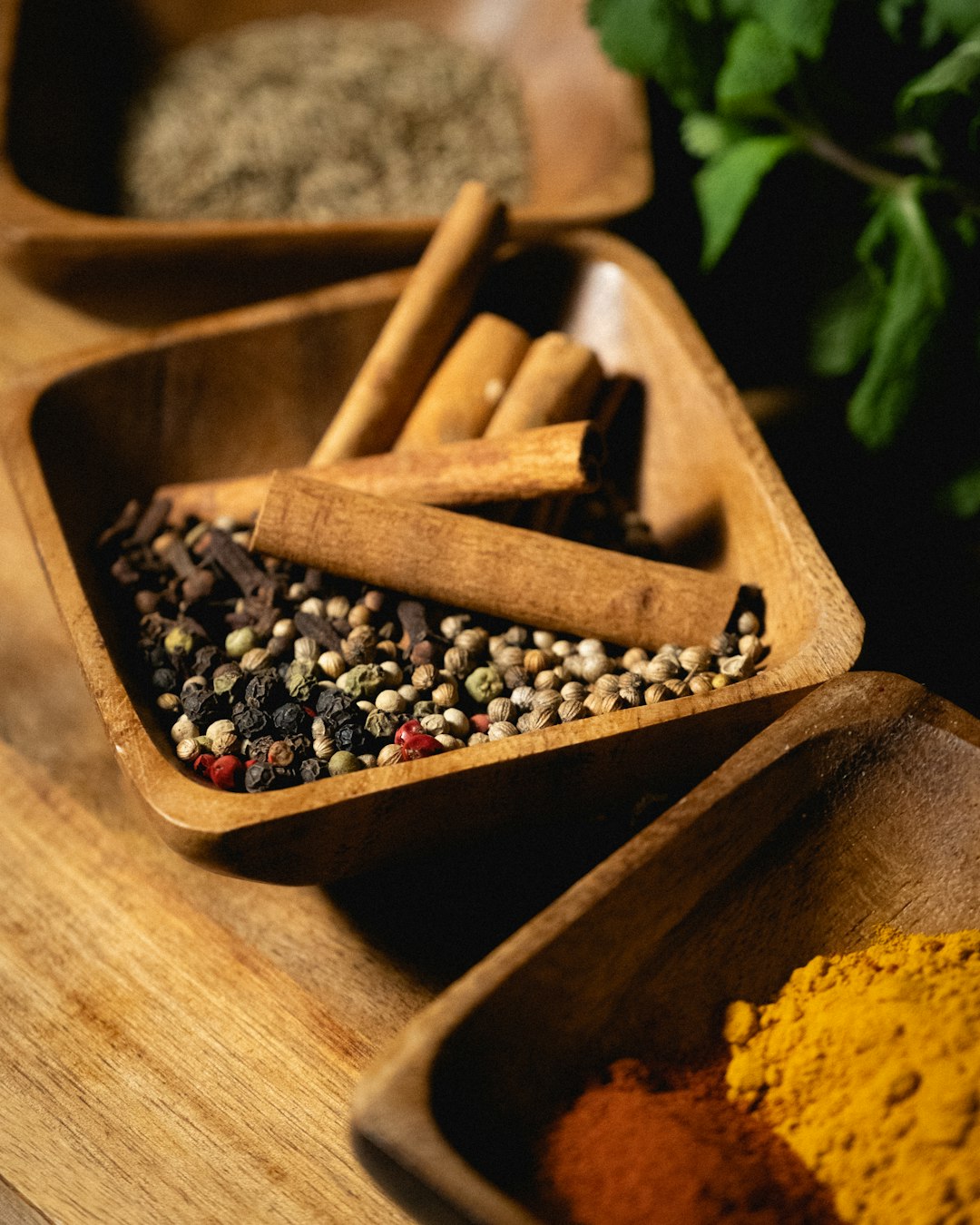 Ayurvedic Wellness
