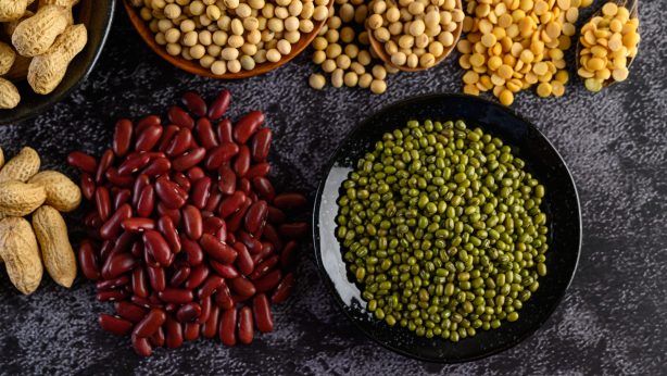 Plant Protein: Benefits, Best Sources & How to Use It for Optimal Health